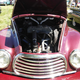 Illustration for article titled Iola Old Car Show (pic dump, 56k beware, lololol)